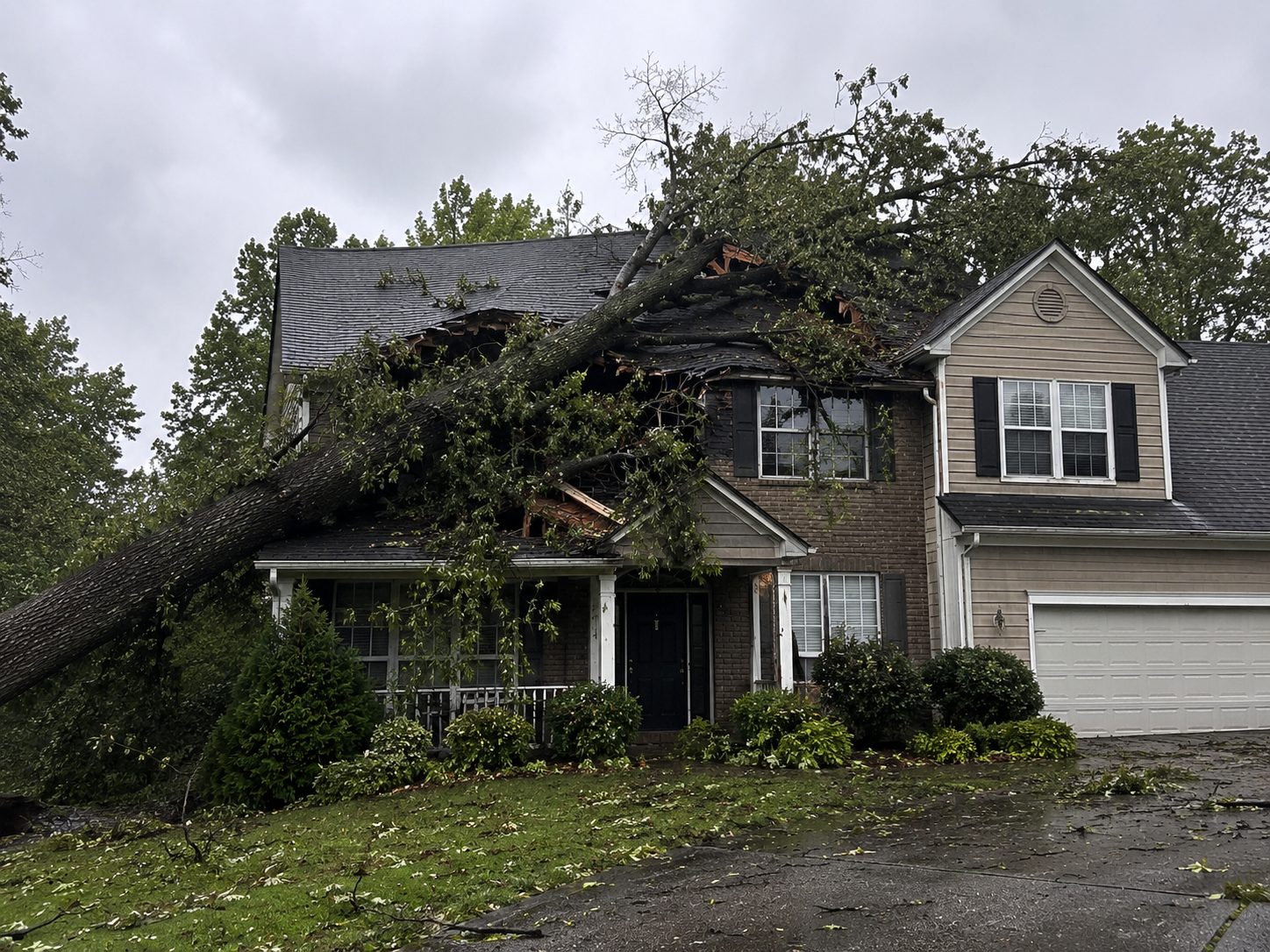 A home with a large tree fallen on the roof after a storm