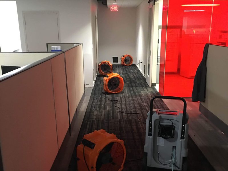 Office corridor with air movers and a dehumidifier drying the carpet after a water loss